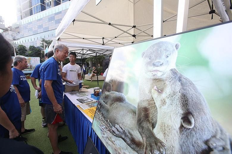 DPM Teo (in black shorts) at a PA event yesterday where PA made Ottie the otter its new mascot. Ottie is based on the smooth- coated otter, one of two types here.