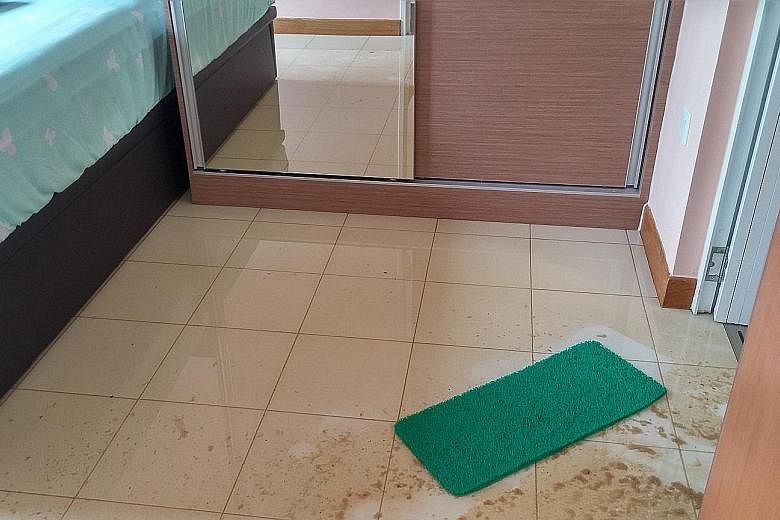From left: Dirty water flowing from Madam Khoo's flat into the corridor; sewage stains and a pool of dirty water near a built-in wardrobe; and a messed-up kitchen.