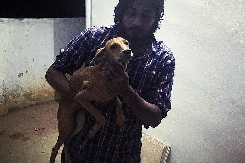 Mr Krishnan holding the dog which had been thrown off a balcony.
