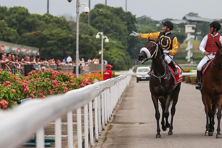 Quechua, ridden by Corey Brown, won the $1.15 million Group 1 Emirates Singapore Derby last year. The Derby and the $1.35 million Longines Singapore Gold Cup in November are now the only million-dollar races remaining on the local calendar.