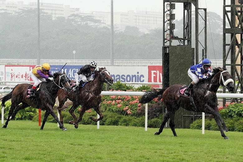 From top: Blue Danube, Rockfast and Mr Spielberg are the only horses in the field of 16 in the Emirates Singapore Derby 2016 to have won over 2,000m.
