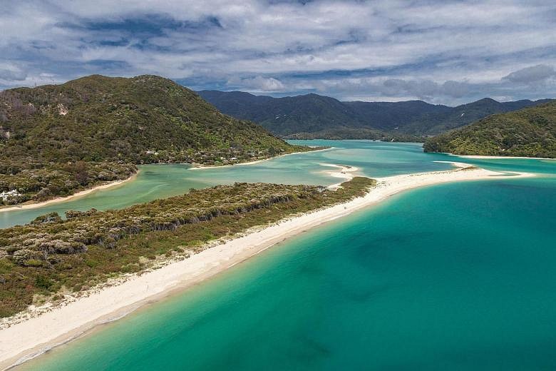 New Zealand's crowdfunded beach becomes public park | The Straits Times