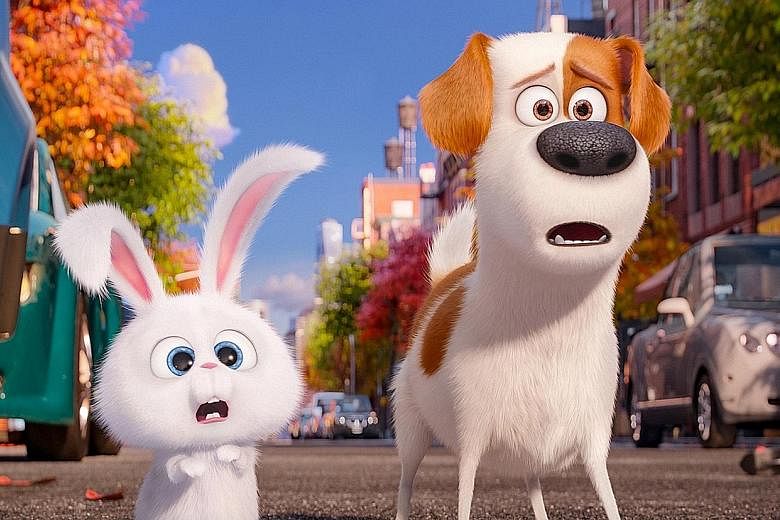 The Secret Life Of Pets has the largest opening this year in North America for an original movie.