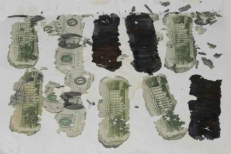 Some of the US$20 bills taken by a skyjacker calling himself D.B. Cooper and found in Oregon by a young boy in 1980. Many investigators believe Cooper never survived his plummet to the earth in November 1971.