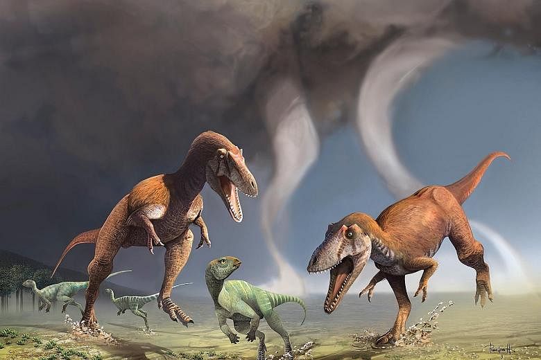 An illustration of two predatory dinosaurs named Gualicho shinyae hunting smaller bipedal herbivorous dinosaurs in northern Patagonia 90 million years ago.