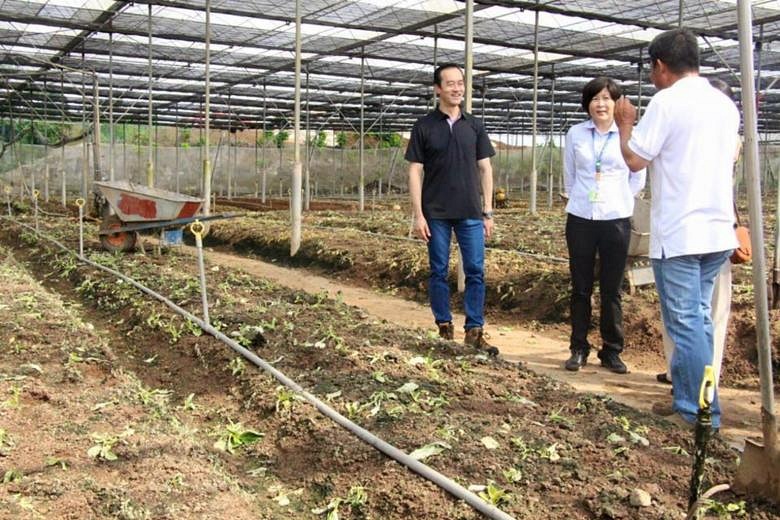 Koh Poh Koon on six-day farm technology-sourcing trip to Japan | The ...