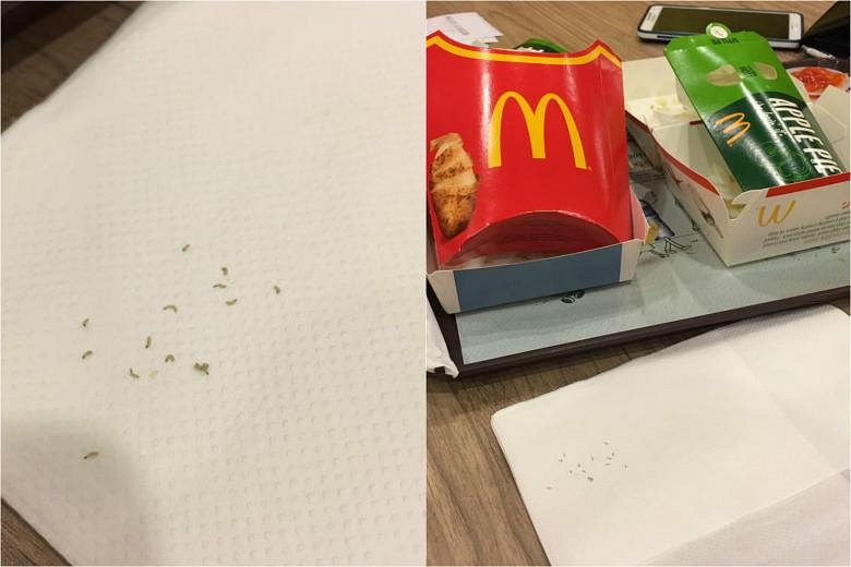 McDonald's says 'no evidence of pests' after customer's claim of