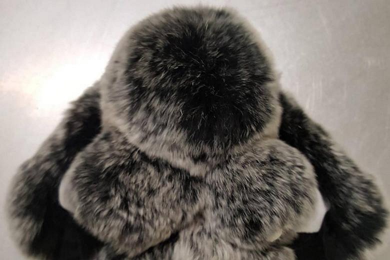 Rabbit fur 2024 stuffed animals