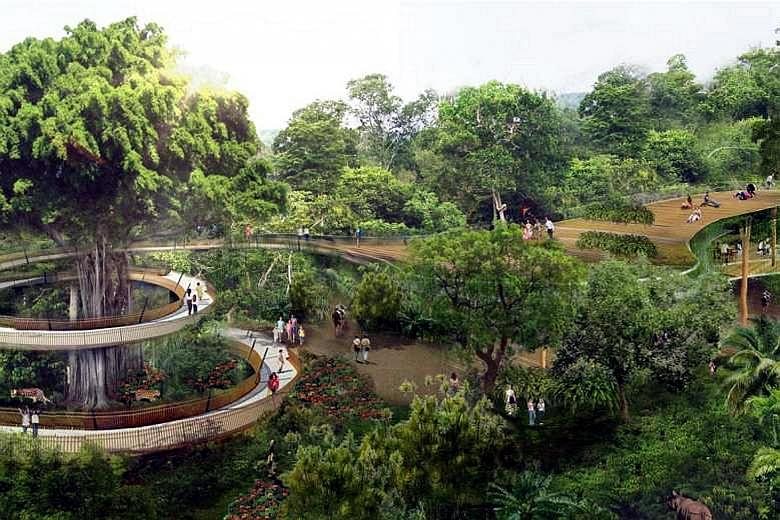 An artist's impression of the Rainforest Park (left) and the site of the former Mandai Orchid Gardens (right), home of the new Bird Park.