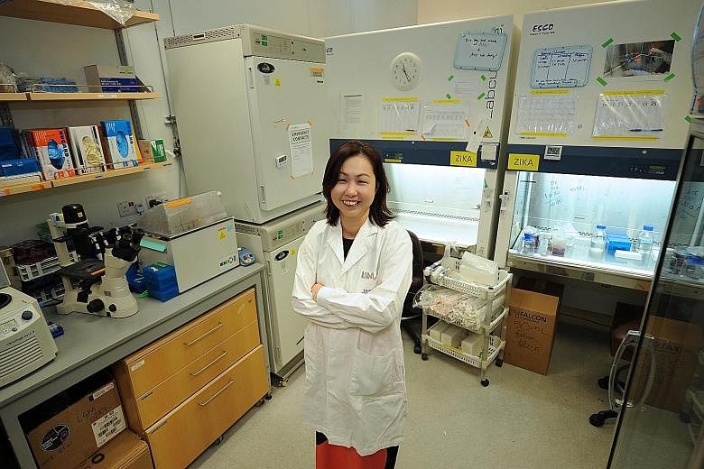 The path she chose was far from easy - her post-doctoral research in the US took her away from her family for four years - but Prof Lok found the will to continue because she was able to learn so much.