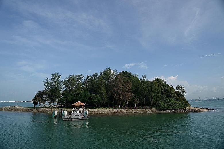 A view of Sisters' Islands, which is part of Singapore's first marine park (above); a nudibranch, a type of sea slug; five-spot anemone shrimps (Periclimenes brevicarpalis); and a tiger-tailed seahorse (Hippocampus comes), all seen in the area.