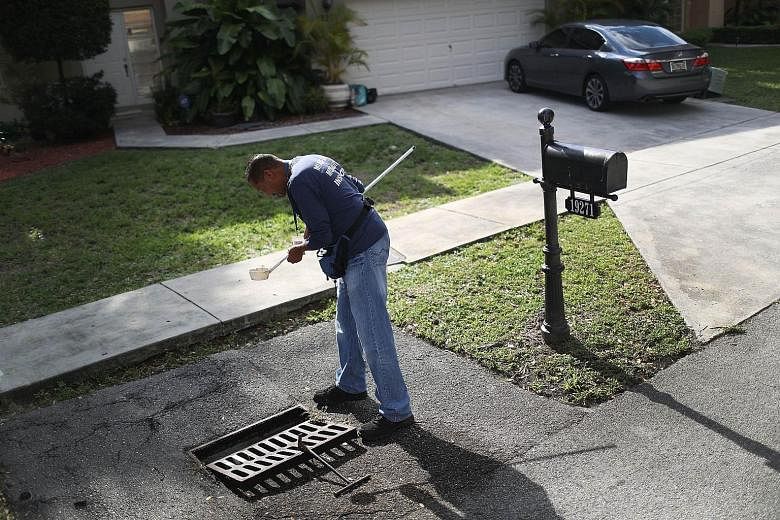 A Miami-Dade county mosquito control inspector looking for signs of mosquito larvae in a drainage ditch. Four cases of Zika infection in Florida are likely to have been caused by mosquitoes there, according to CDC. Until now, all cases in the US had 