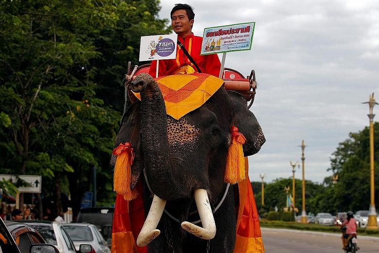 A mahout displaying placards during a campaign in Ayutthaya province, north of Bangkok, on Monday, ahead of Sunday's referendum.