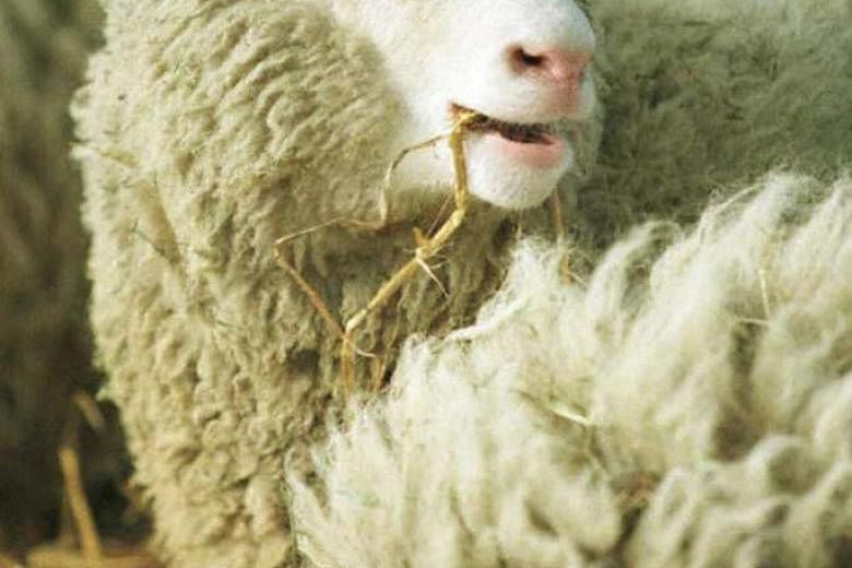 Some feats are unnerving, even if no humans or animals are harmed. Many were disturbed by the cloning of Dolly the sheep. 
