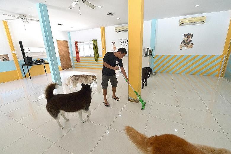 A Sunny Heights staff member mops the floor more often to keep the place cleaner. As an extra precaution, daycare and rescued dogs are now kept in separate buildings while the authorities conduct further tests.