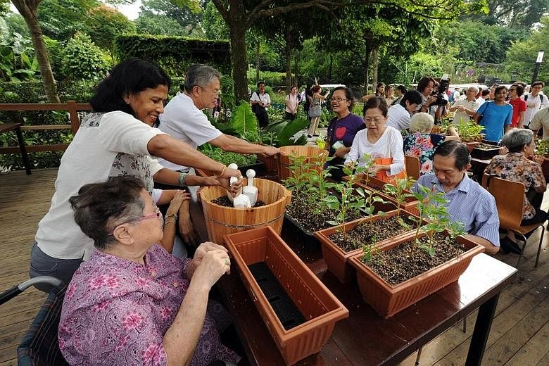 The therapeutic garden at HortPark has customised benches for potting, moveable raised beds and access to water. All these make it more convenient for the elderly and wheelchair users to join group gardening activities.