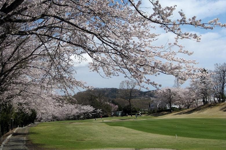 A golf course in Tokyo. Accordia Golf Trust owns 89 courses across Japan and received 2.1 per cent more visitors over the past year.