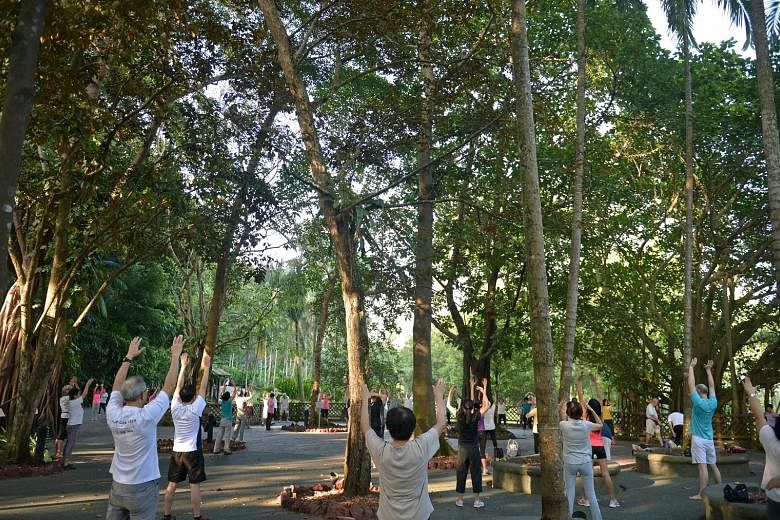 People doing deep breathing exercises at the Singapore Botanic Gardens, an example of a green space in the city that softens the tone of a built landscape and makes high-density urban environments more liveable. Contact with nature can also improve t