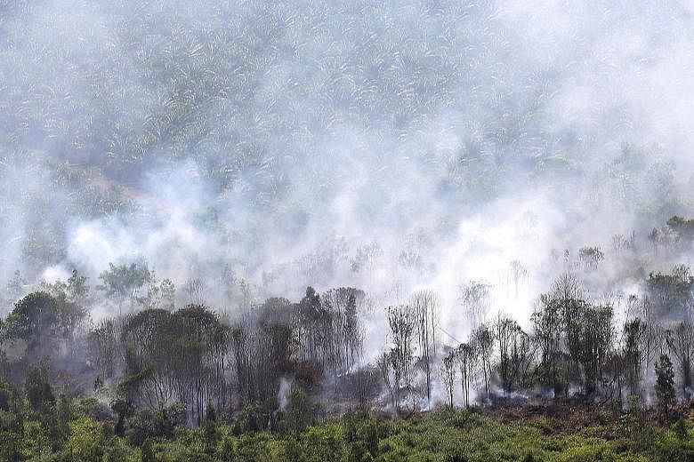 A fire burning in Musi Banyuasin regency in South Sumatra, Indonesia, on Monday. The region's annual haze, which typically starts in mid-August, has begun in West Kalimantan, with dozens of hot spots detected this week.