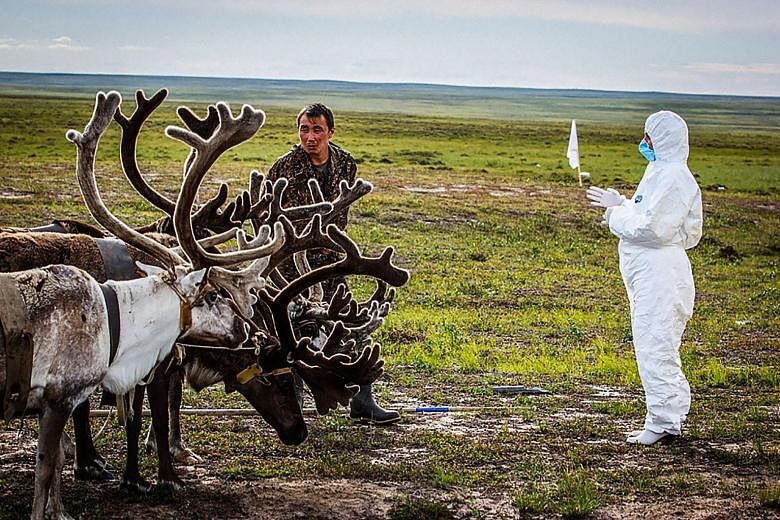 An undated picture released by the Russian Emergency Ministry on Monday shows a veterinarian checking on reindeer outside Yar-Sale town in the Yamal peninsula. A recent anthrax outbreak in Russia's far north has left a child dead and 23 people infect