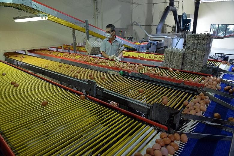 A fully automated poultry farm that uses technology and innovation to increase its productivity. The Government is deepening its role to assist enterprises, particularly SMEs, to foster innovation.