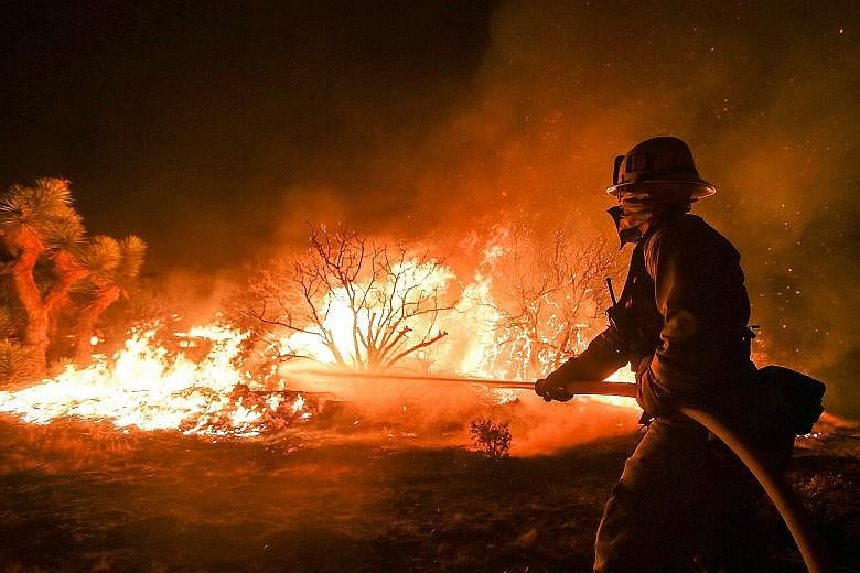 A firefighter battling the Blue Cut wildfire near Cajon Pass, north of San Bernardino, California, on Tuesday. A record five-year drought and a sizzling heatwave in California are fanning wildfires in the state.