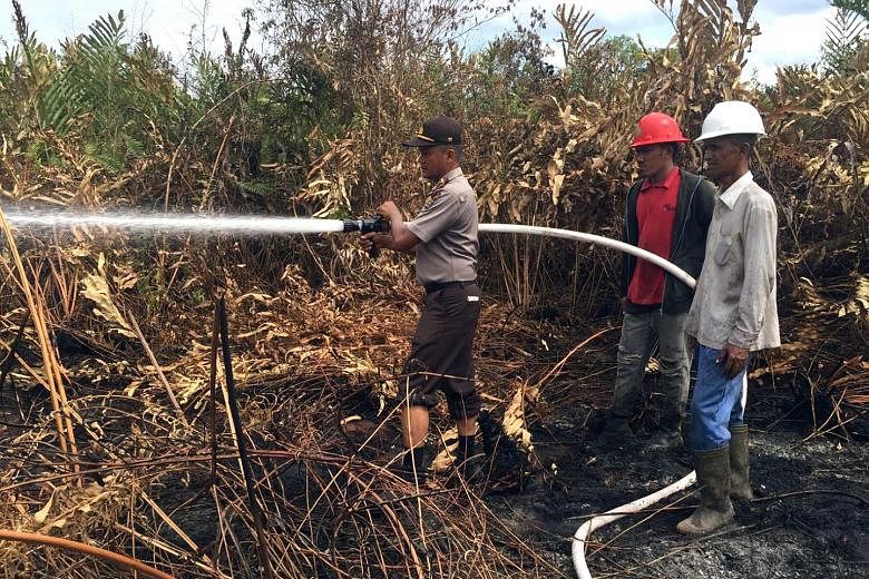 Firefighters in Indonesia helping to put out forest fires as the number of hot spots increases during the dry season. Big palm oil and pulp-and-paper firms, which had been partly blamed for last year's regional haze crisis, are joining the military, 