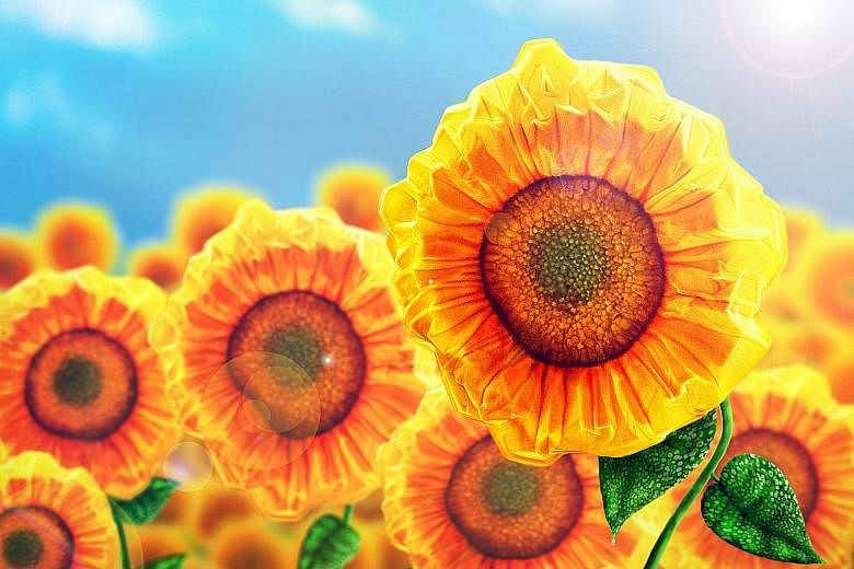 These sunflowers are made of perovskite crystals grown on a flat, clear and thin substrate called muscovite mica. The image was captured using a scanning electron microscope by PhD student Ha Son Tung, who was supervised by Professor Xiong Qihua, ass