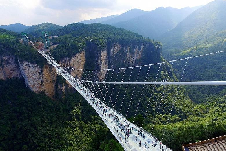 The world's highest and longest glass-bottomed bridge opened last Saturday in China's Zhangjiajie mountains - the inspiration for blockbuster movie Avatar. Some 430m long and suspended 300m above ground, the bridge spans the canyon between two mounta