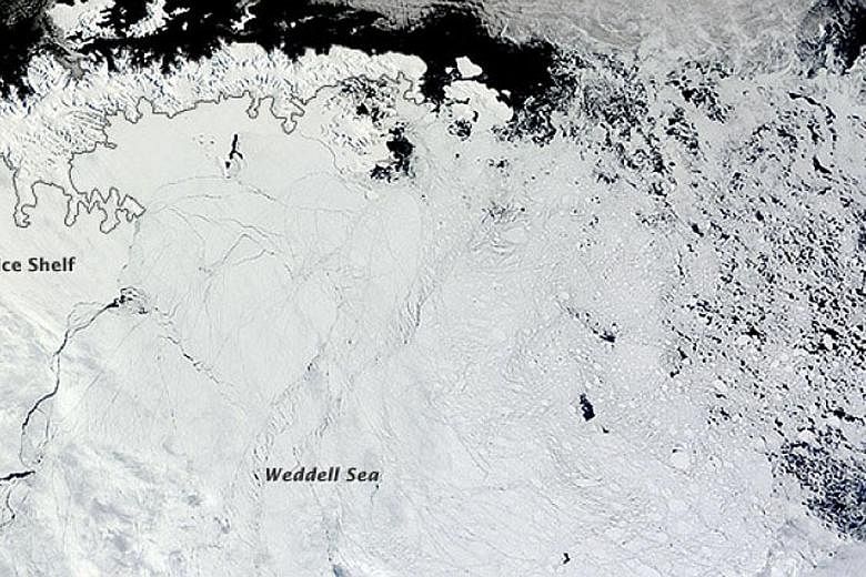 Larsen C, the most northern major ice shelf of the Antarctic peninsula, is said to be slightly smaller than Scotland. The crack in Larsen C is now 130km long and about 350m wide. The rift has grown 22km since it was last observed in March this year.