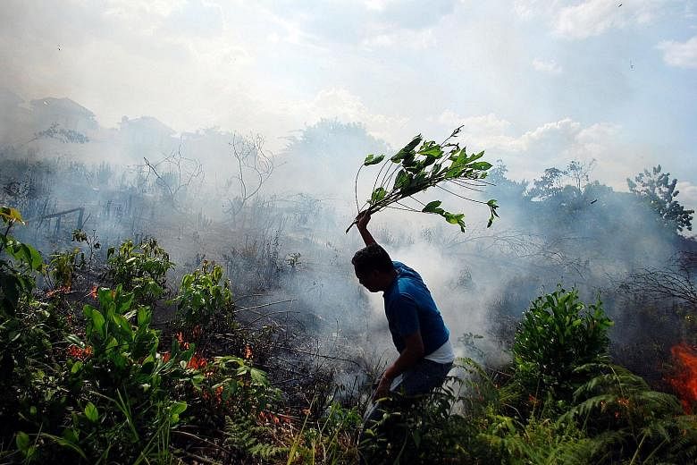 A man trying to put out a bush fire in Pekanbaru, Sumatra, earlier this week.