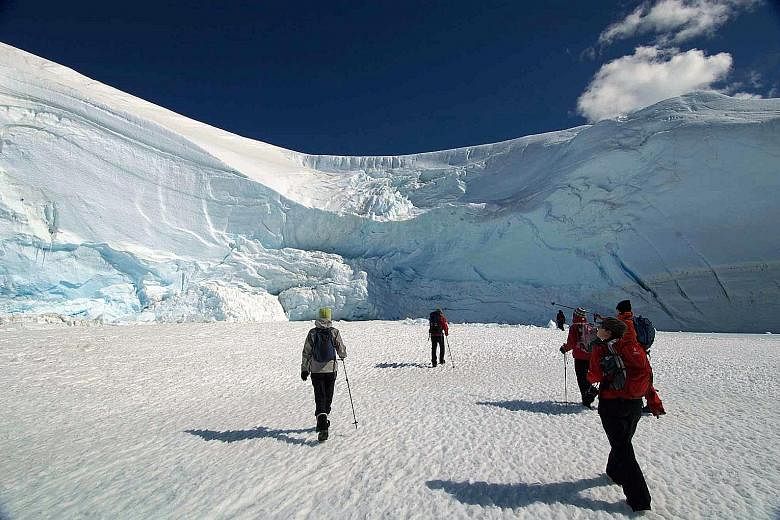 Visitors can get up close to penguins or trek below an icefall (above).