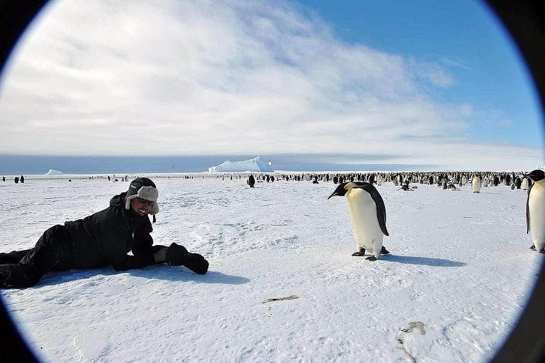Visitors can get up close to penguins (above) or trek below an icefall.