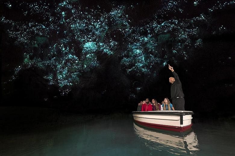 Viewing glow worms in the Waitomo Caves is included in the Northern Bay of New Zealand and Hobbiton tour by Tourism New Zealand and Air New Zealand.