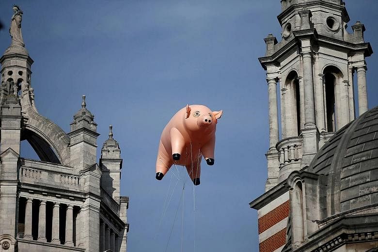 The inflatable pig floating above the Victoria and Albert Museum in London.