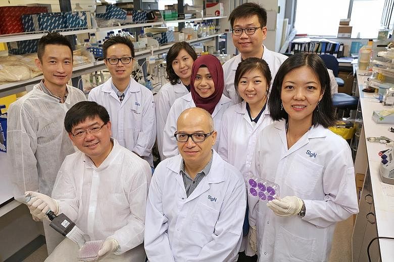 Members of A*Star's anti-Zika squad: (Seated from left) Prof Andre Choo (principal scientist and director of antibody discovery, BTI); Prof Laurent Renia (executive director, SIgN); (standing from left) Dr Tan Heng Liang (associate staff scientist, B