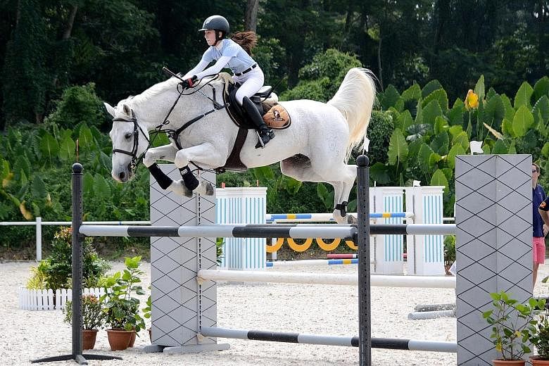 Watch a showjumping competition at the Singapore Horse Show.