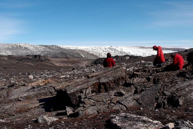 Australian scientists examining rocks in Greenland, where the stromatolite fossils were found four years ago.