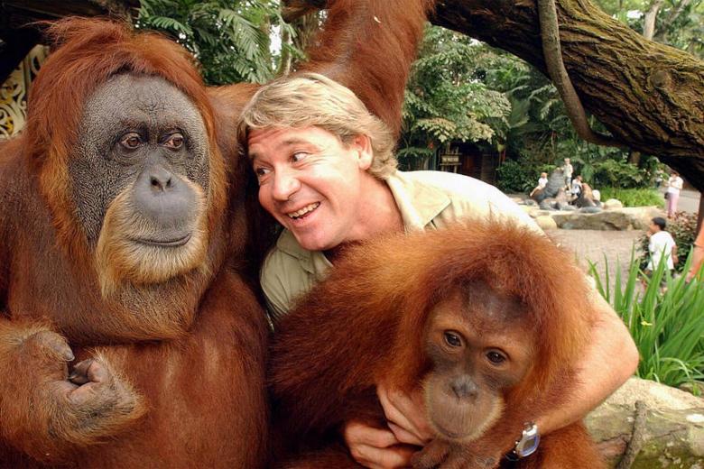 'Crocodile Hunter' Steve Irwin commemorated by Australians, family a ...