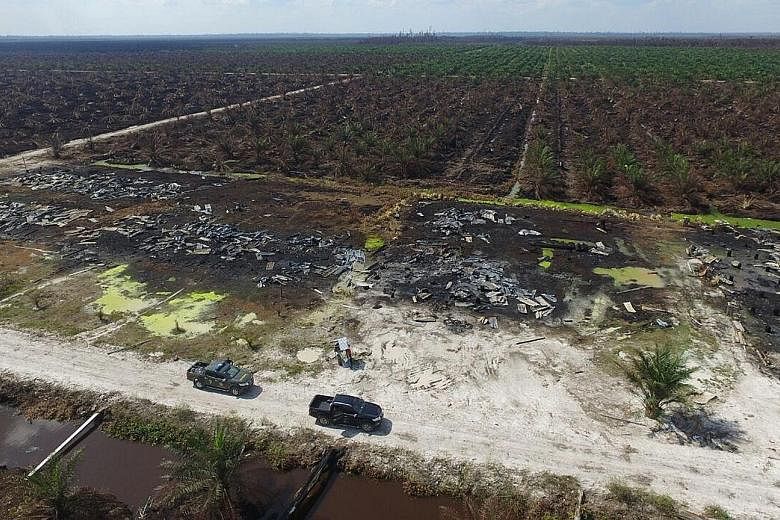 Investigators from Indonesia's Ministry of Environment and Forestry found last week that land in Rokan Hulu in Riau had been burnt.