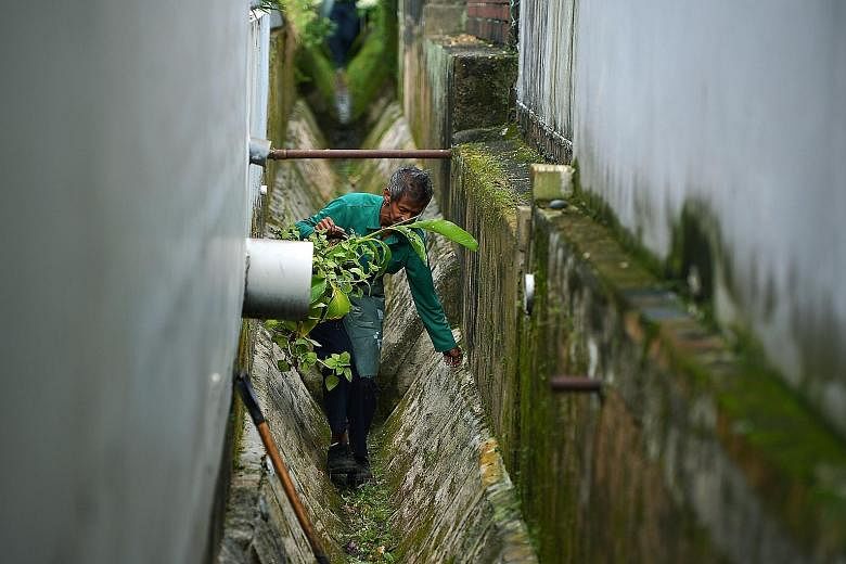 Cleaners getting rid of unwanted vegetation in drains at the Elite Terrace estate in Siglap yesterday. One of yesterday's nine new Zika cases was linked to the Elite Terrace cluster.
