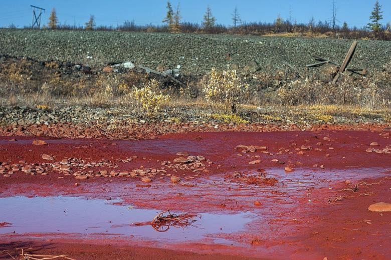 Puddles of bright red polluted water are seen on the bank of the river Daldykan in the region of the city of Norilsk, causing Russians to nickname the tributary the "blood river". The government said a possible cause of the pollution of the river is 