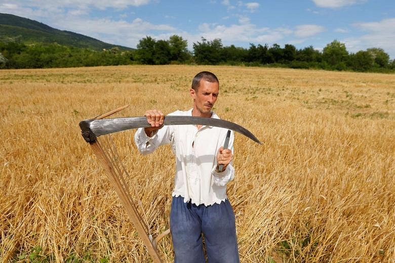 Making hay at the world scything championships | The Straits Times