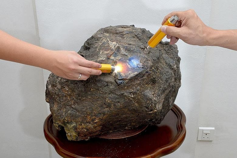 This piece of amber weighing 50.4kg, the world's largest, belongs to a Singapore businessman who wants to be known only as Mr Joseph. Formed in the Miocene era more than 15 million years ago, it was found early this year in a coal mine in Sumatra, In