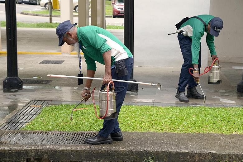 National Environment Agency officers pouring oil into drains. Most of the Aedes aegypti's breeding habitats, such as gutters and crevices, are small and difficult to locate, making it hard to eradicate the mosquitoes.