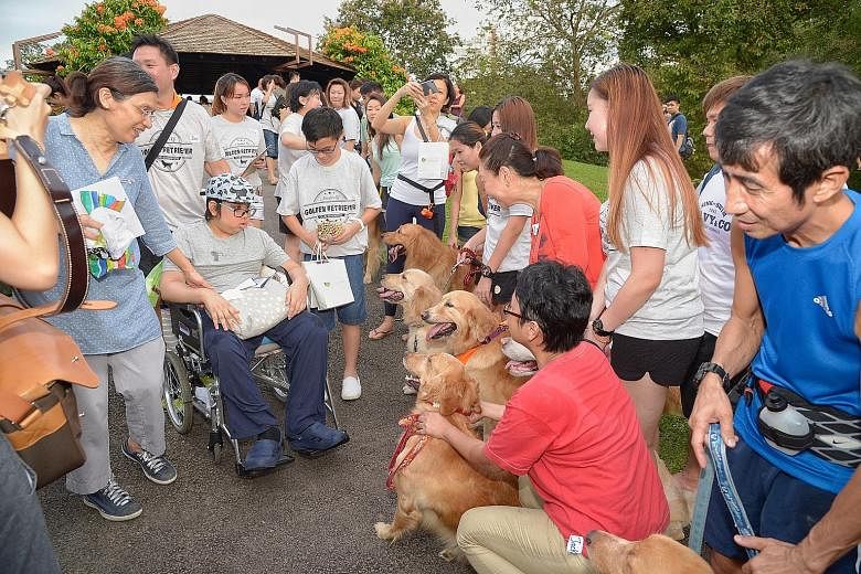 Madam Tan (in blue) holding her son Isaac's arm, as he gets his wish to pat as many golden retrievers as possible. Sponsors also pitched in with free T-shirts, goodie bags and even a birthday cake in Isaac's favourite flavour - chocolate.