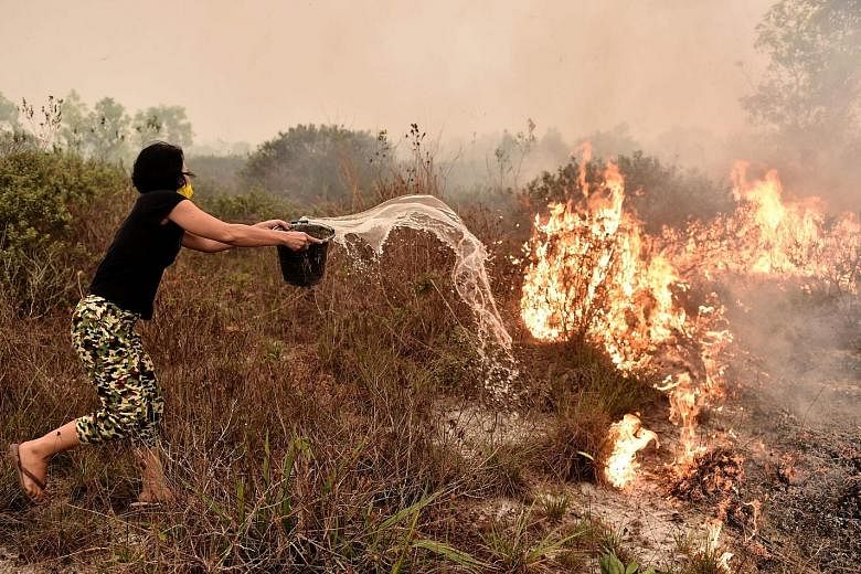 A villager trying to extinguish a peatland fire on the outskirts of Palangkaraya in Central Kalimantan last year. The US study findings far exceed Indonesia's official haze death toll of 19.