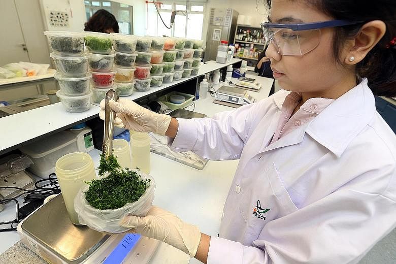 A member of the AVA's Pesticide Residues Section weighing a vegetable sample. Each day, 30 to 40 samples of food products are tested for hundreds of pesticides simultaneously at the lab. Food science experts also said that just because something is d