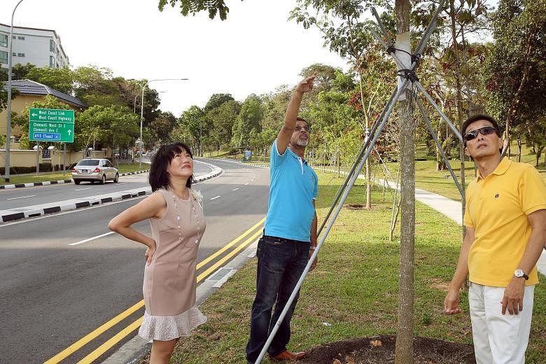 West Coast Park NC helped keep the area's leafy look despite road widening. From far left are: Dr Coral Lai, Mr Prakash Kumar Hetamsaria and Mr Ng Seng Chong.
