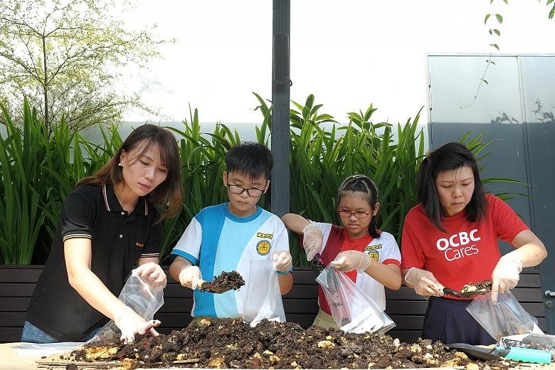 Left: Staff volunteers from BreadTalk and OCBC working with Primary 5 pupils from Yu Neng Primary School to pack the compost. Half of the collected compost will be distributed to the gardening community during the monthly Gardeners' Day Out at HortPa